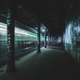Illustration for article titled The Amazing Photos Taken By a Crazy Subway Tunnel Spelunker